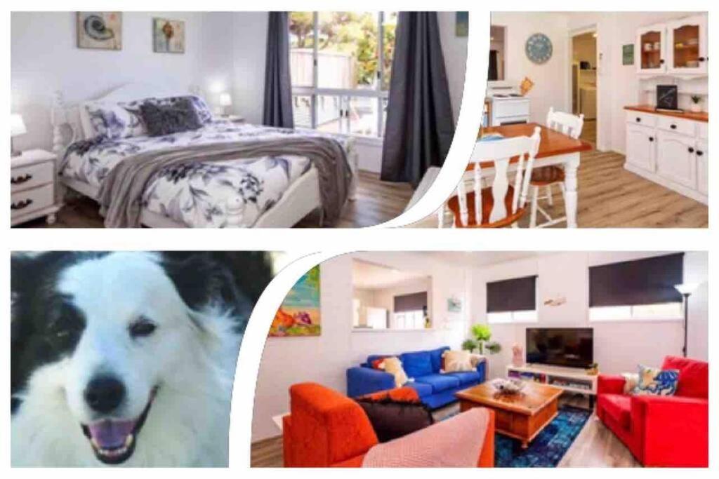 Puppies&Pancakes At Innes Park Opp Park&Beach Dogs Welcome Inside Pemberton Εξωτερικό φωτογραφία